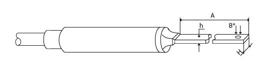 ������� ���� ���� &laquo;�&raquo;