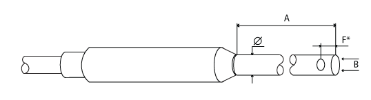 ������ ���� ���� &laquo;�&raquo;